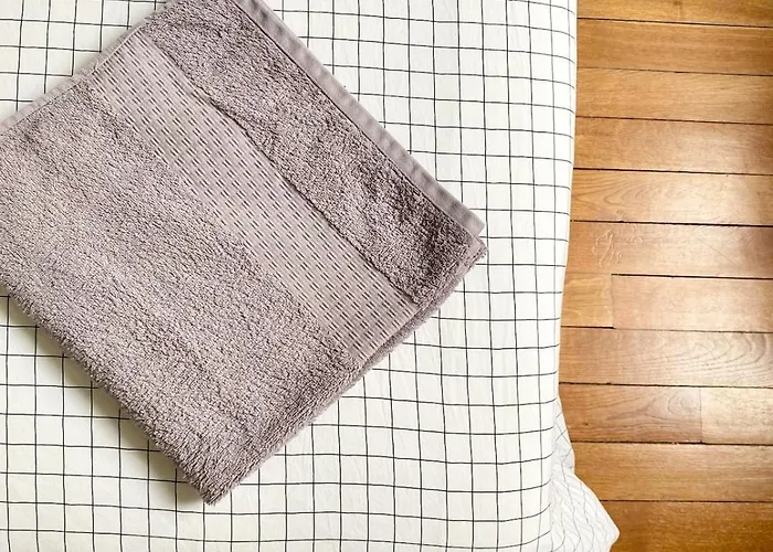 Apartament Centre Gare Parc Darcy *