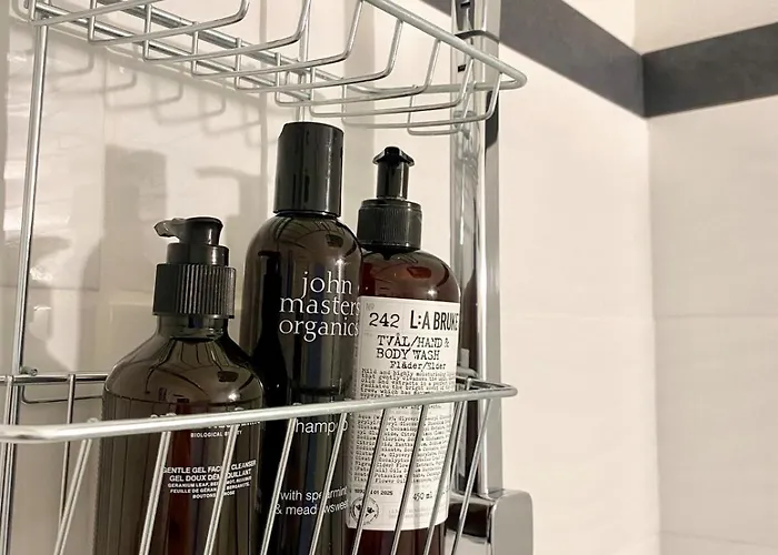 Apartament Centre Gare Parc Darcy Dijon